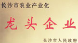 國際先進水平